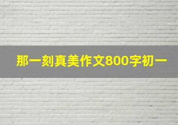 那一刻真美作文800字初一