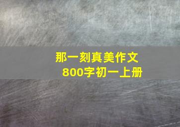 那一刻真美作文800字初一上册