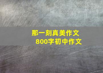 那一刻真美作文800字初中作文