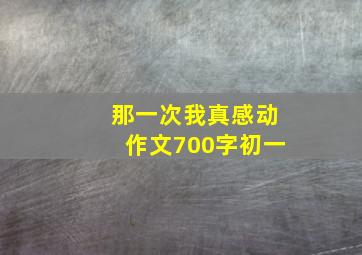 那一次我真感动作文700字初一