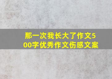 那一次我长大了作文500字优秀作文伤感文案