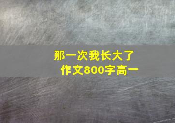 那一次我长大了作文800字高一