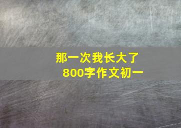 那一次我长大了800字作文初一