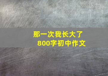 那一次我长大了800字初中作文