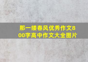 那一缕春风优秀作文800字高中作文大全图片