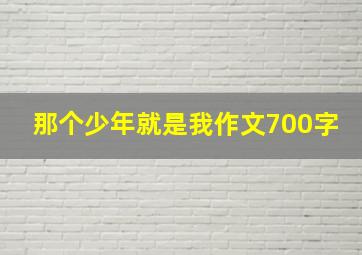 那个少年就是我作文700字