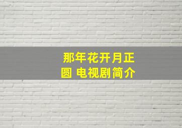 那年花开月正圆 电视剧简介