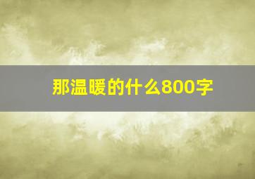 那温暖的什么800字