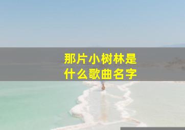 那片小树林是什么歌曲名字