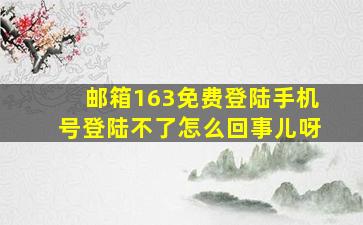 邮箱163免费登陆手机号登陆不了怎么回事儿呀