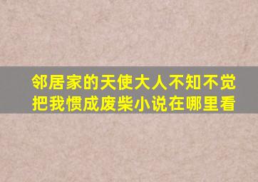 邻居家的天使大人不知不觉把我惯成废柴小说在哪里看