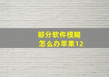 部分软件模糊怎么办苹果12