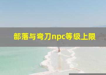 部落与弯刀npc等级上限