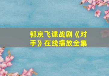 郭京飞谍战剧《对手》在线播放全集