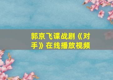 郭京飞谍战剧《对手》在线播放视频