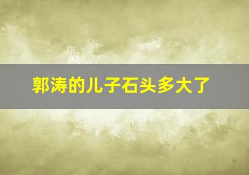 郭涛的儿子石头多大了