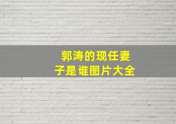 郭涛的现任妻子是谁图片大全