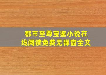 都市至尊宝鉴小说在线阅读免费无弹窗全文