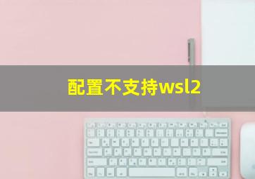 配置不支持wsl2