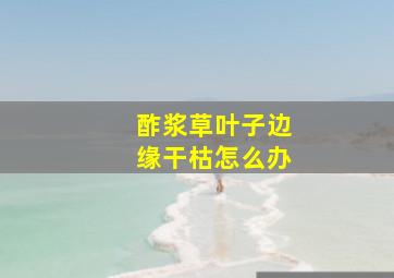 酢浆草叶子边缘干枯怎么办