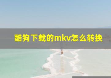 酷狗下载的mkv怎么转换