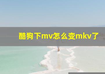 酷狗下mv怎么变mkv了