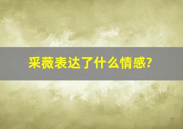 采薇表达了什么情感?