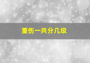 重伤一共分几级