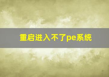 重启进入不了pe系统