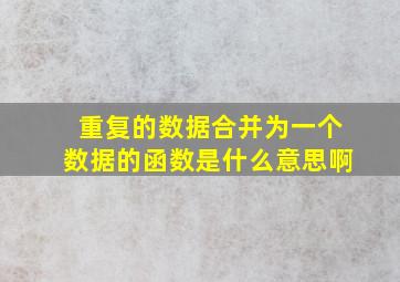 重复的数据合并为一个数据的函数是什么意思啊