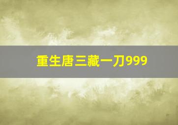 重生唐三藏一刀999