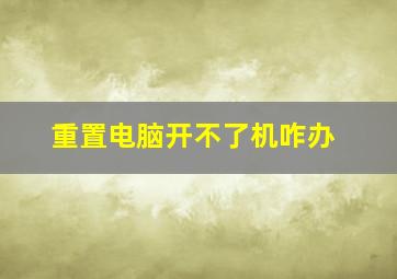 重置电脑开不了机咋办