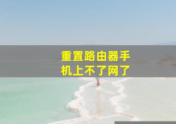 重置路由器手机上不了网了