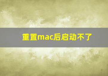 重置mac后启动不了