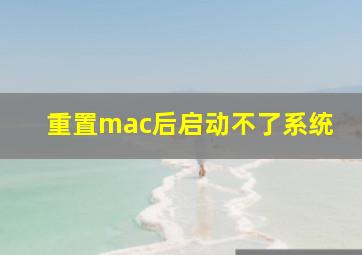 重置mac后启动不了系统