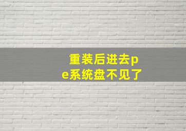 重装后进去pe系统盘不见了