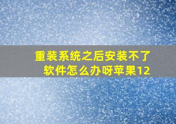 重装系统之后安装不了软件怎么办呀苹果12