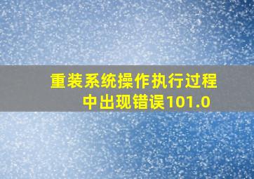 重装系统操作执行过程中出现错误101.0