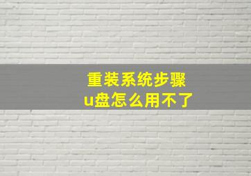 重装系统步骤u盘怎么用不了