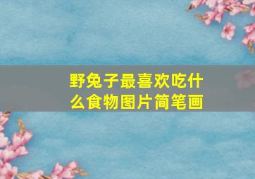 野兔子最喜欢吃什么食物图片简笔画