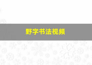 野字书法视频