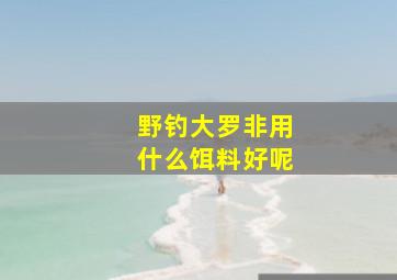 野钓大罗非用什么饵料好呢