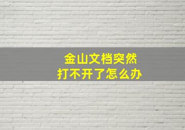 金山文档突然打不开了怎么办