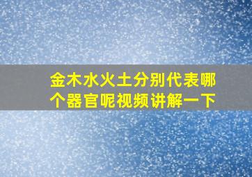 金木水火土分别代表哪个器官呢视频讲解一下