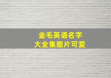 金毛英语名字大全集图片可爱