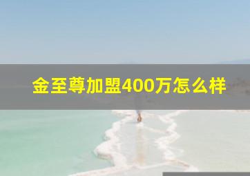 金至尊加盟400万怎么样