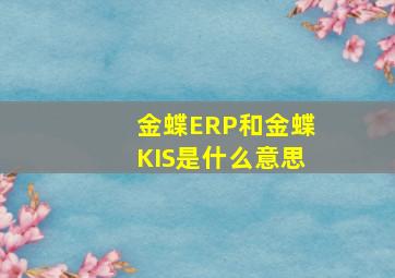 金蝶ERP和金蝶KIS是什么意思