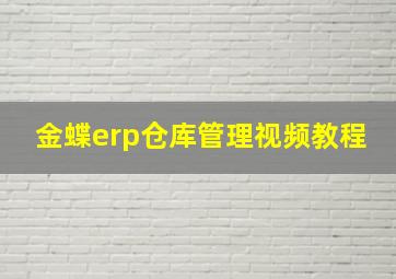 金蝶erp仓库管理视频教程