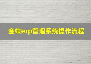 金蝶erp管理系统操作流程