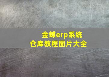 金蝶erp系统仓库教程图片大全